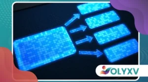 Etapas fundamentais na organização de um curso digital