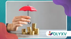 Como proteger seus direitos em uma coprodução